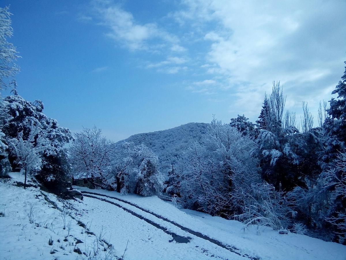 Mas Pardas Санта-Пау Екстер'єр фото