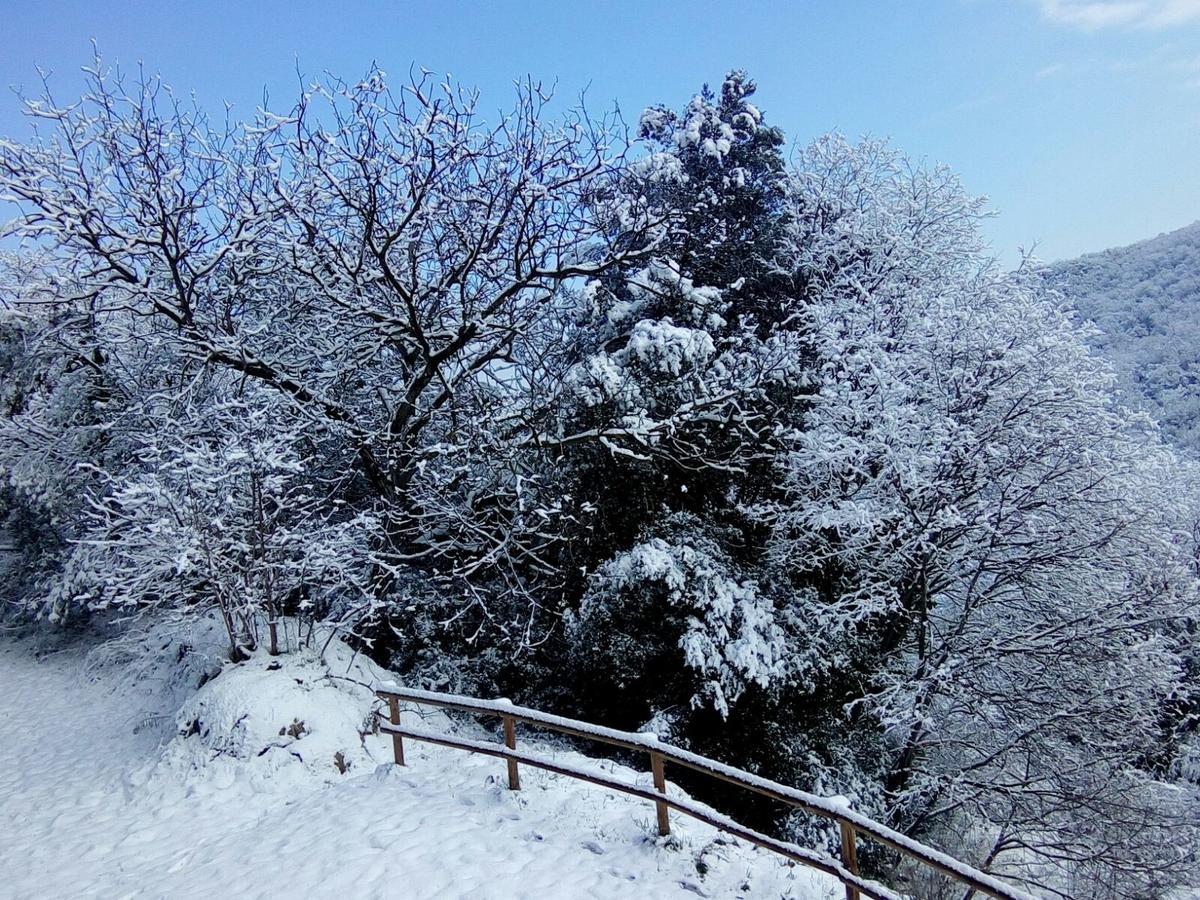 Mas Pardas Санта-Пау Екстер'єр фото